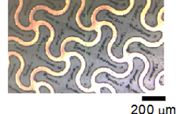 Sensor Applications Sensor Applications